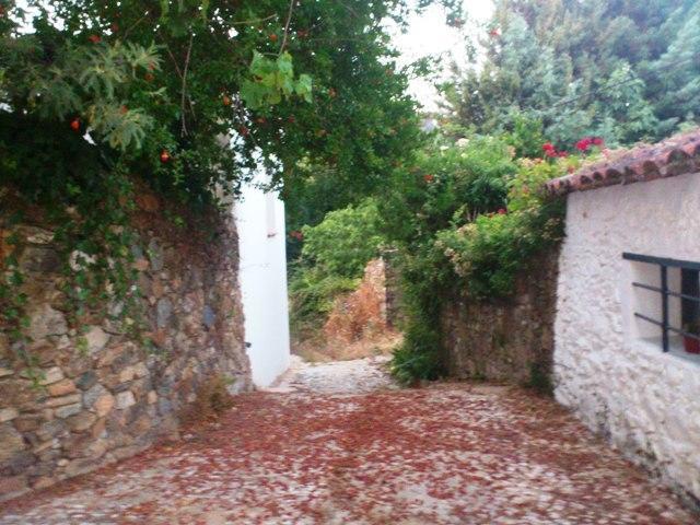 Casa Con Encanto En Alájar Dış mekan fotoğraf