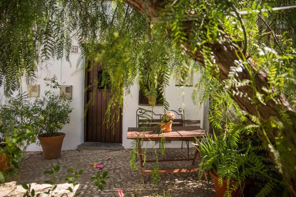 Casa Con Encanto En Alájar Dış mekan fotoğraf